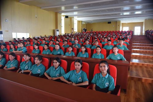 濱海新區(qū)文藝小分隊(duì)圓滿完成和田文化交流活動(dòng)，譜寫文化交融新篇章