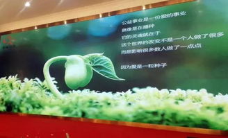 以刀為筆，以玉載道 福建省寶協玉石雕刻專業委員會藝術公益之路